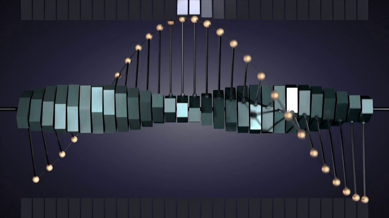 Simple Harmonic Motion